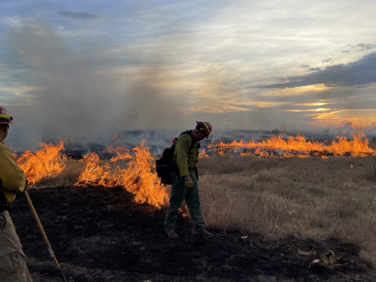Wildland – Black Forest Fire Rescue