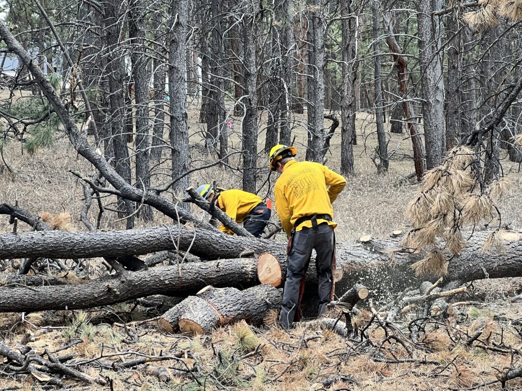 Black Forest Fire Rescue – Dedicated to the Forest and those who call ...