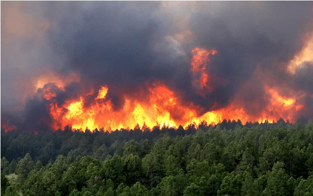 A-wildfire-occurred-on-12-June-2013-in-Black-Forest-Colorado-USA