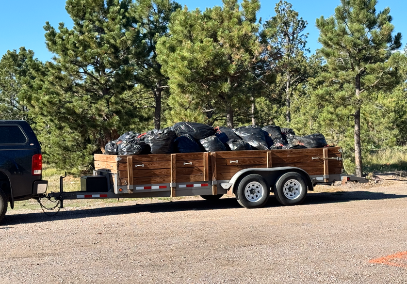pine needle trailer